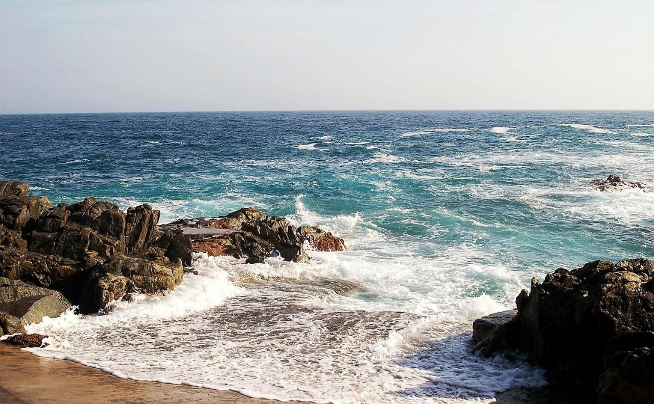 Daro Apartments Platja d'Aro Dış mekan fotoğraf