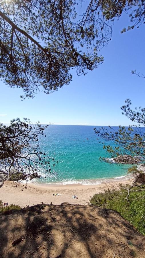 Daro Apartments Platja d'Aro Dış mekan fotoğraf