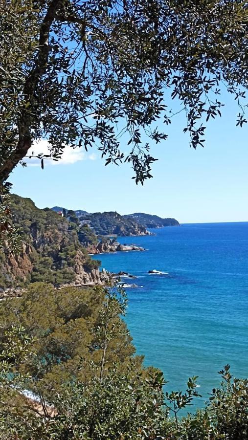 Daro Apartments Platja d'Aro Dış mekan fotoğraf